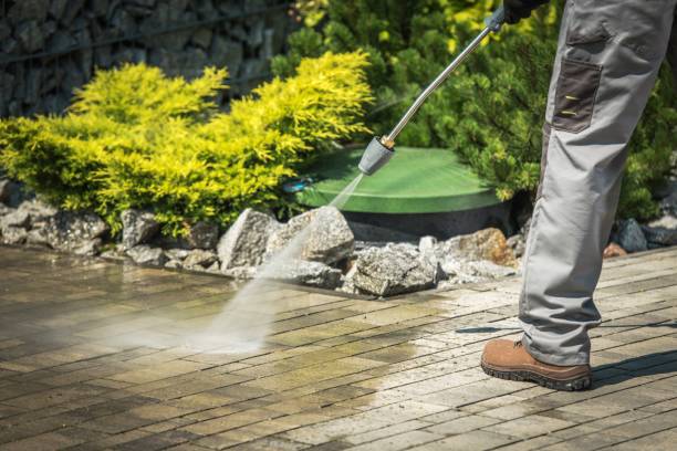 Best Sign and Awning Cleaning  in Oconto Falls, WI